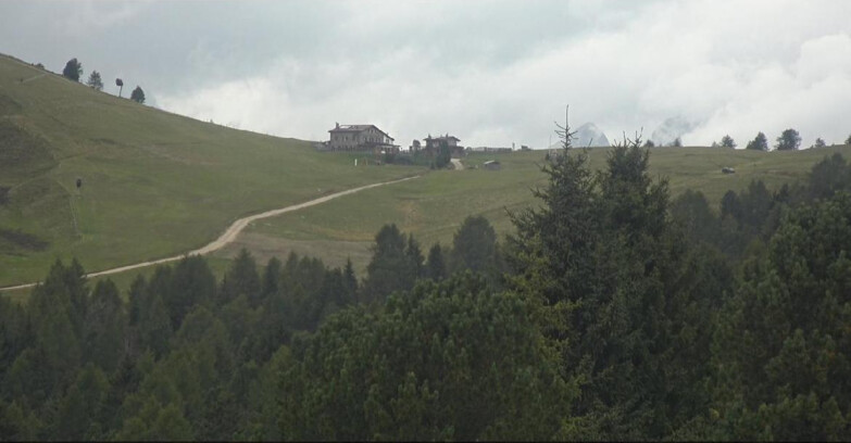 Webcam Белламонте-Альпе-Лусиа  - Pista Dolomitica