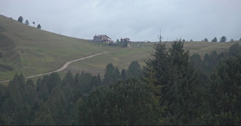 Webcam Bellamonte-Alpe Lusia  - Pista Dolomitica