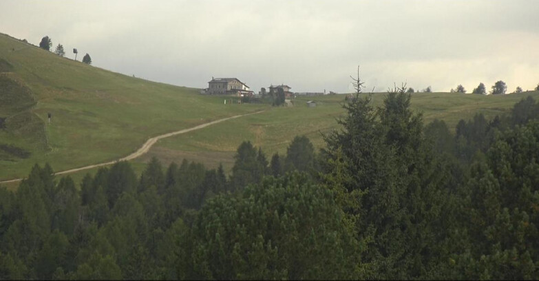 Webcam Bellamonte-Alpe Lusia  - Pista Dolomitica