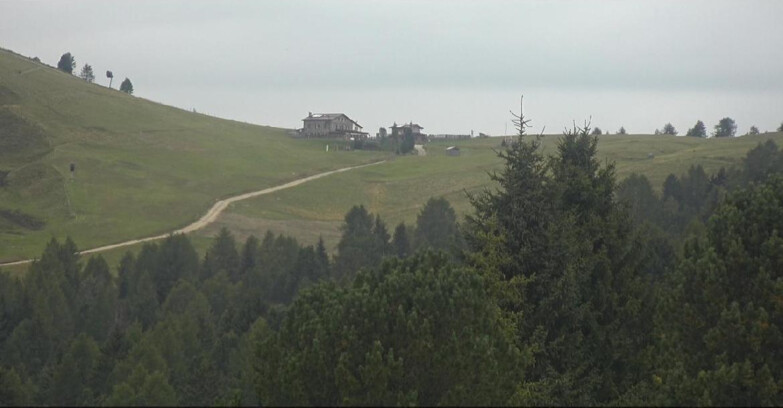 Webcam Bellamonte-Alpe Lusia  - Pista Dolomitica
