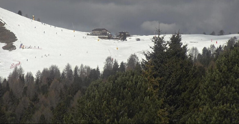 Webcam Bellamonte-Alpe Lusia - Pista Dolomitica