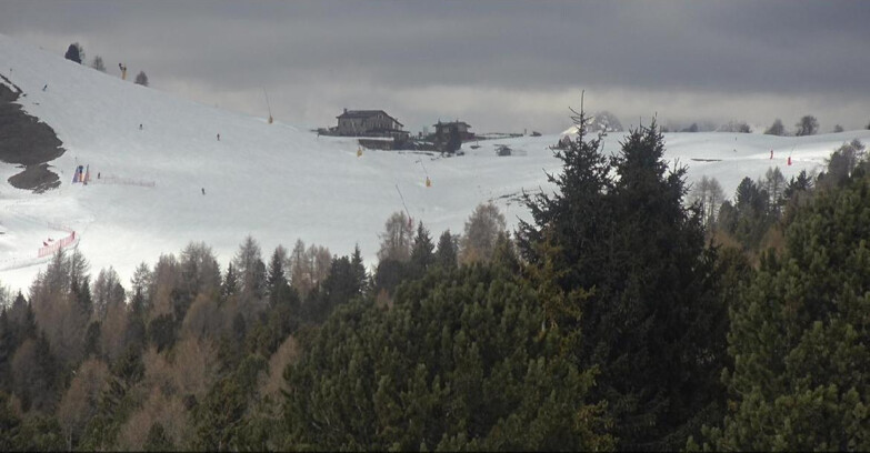 Webcam Bellamonte-Alpe Lusia - Pista Dolomitica