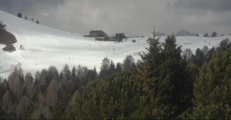 Webcam Bellamonte-Alpe Lusia - Pista Dolomitica