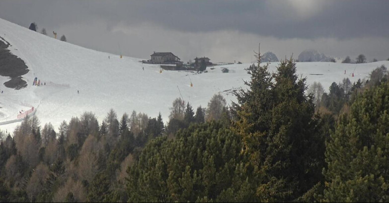 Webcam Bellamonte-Alpe Lusia - Pista Dolomitica