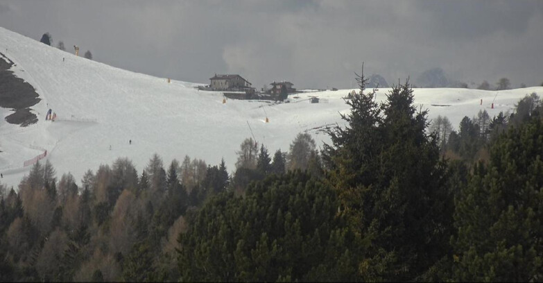 Webcam Bellamonte-Alpe Lusia - Pista Dolomitica