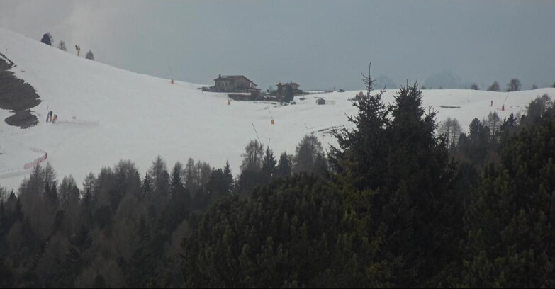 Webcam Bellamonte-Alpe Lusia - Pista Dolomitica