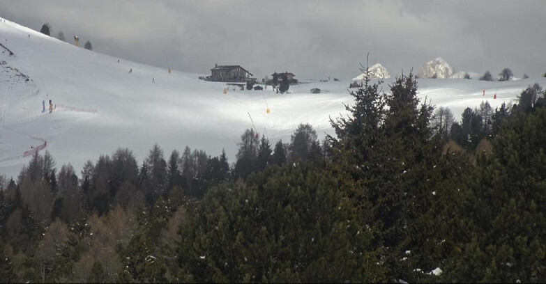 Webcam Bellamonte-Alpe Lusia - Dolomiti slope