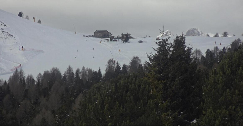 Webcam Bellamonte-Alpe Lusia - Dolomiti slope