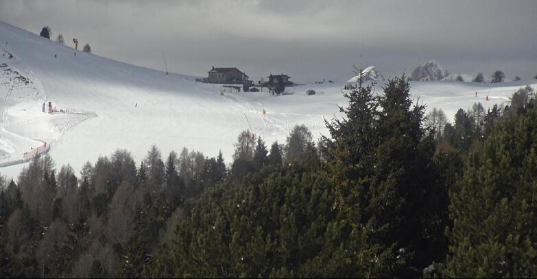 Webcam Bellamonte-Alpe Lusia - Dolomiti slope