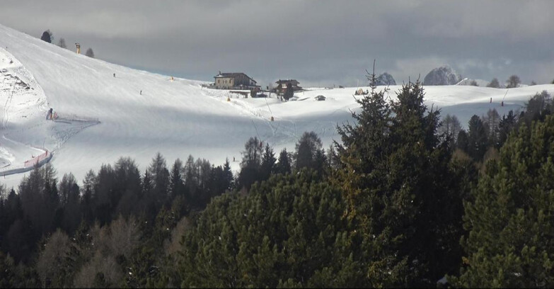Webcam Bellamonte-Alpe Lusia - Dolomiti slope