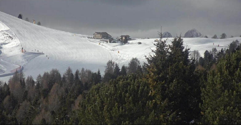 Webcam Bellamonte-Alpe Lusia - Dolomiti slope