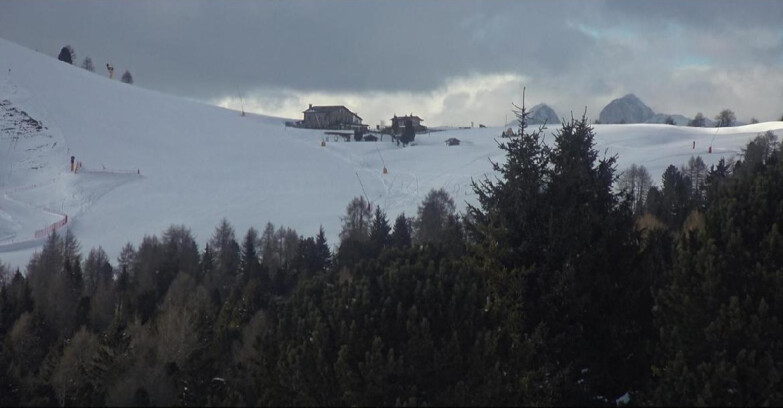 Webcam Bellamonte-Alpe Lusia - Dolomiti slope