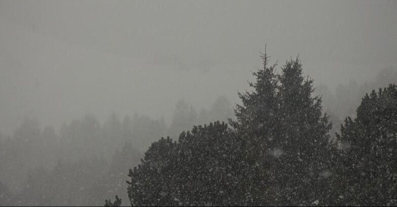 Webcam Bellamonte-Alpe Lusia  - Pista Dolomitica