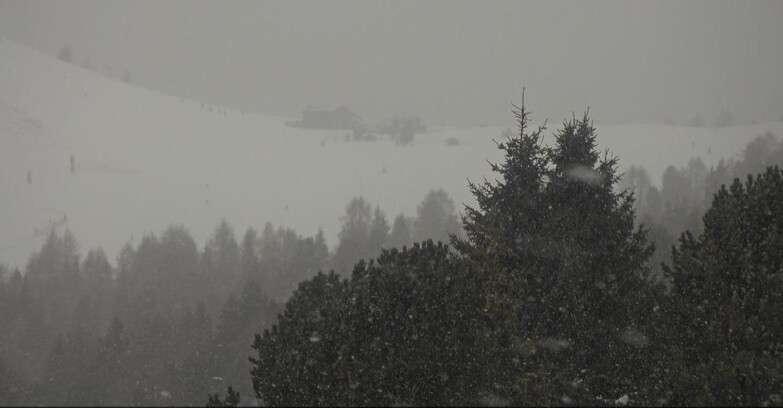 Webcam Bellamonte-Alpe Lusia  - Pista Dolomitica