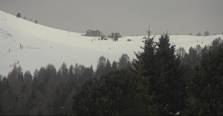 Webcam Bellamonte-Alpe Lusia  - Pista Dolomitica