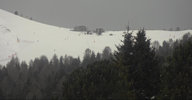 Webcam Bellamonte-Alpe Lusia  - Pista Dolomitica