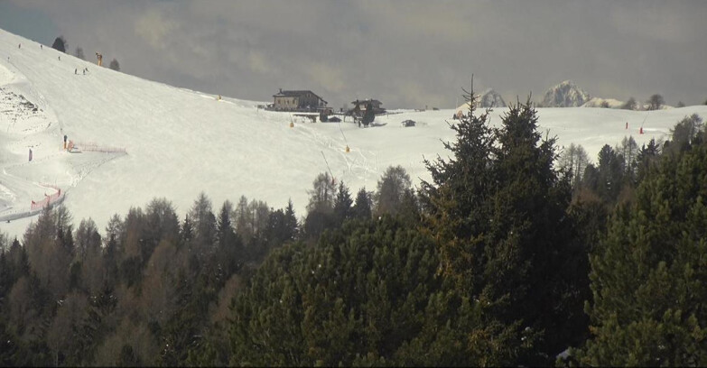 Webcam Bellamonte-Alpe Lusia  - Pista Dolomitica