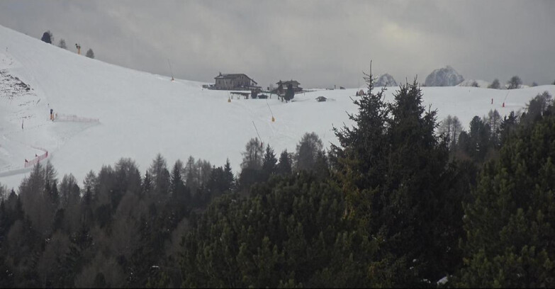 Webcam Bellamonte-Alpe Lusia  - Pista Dolomitica