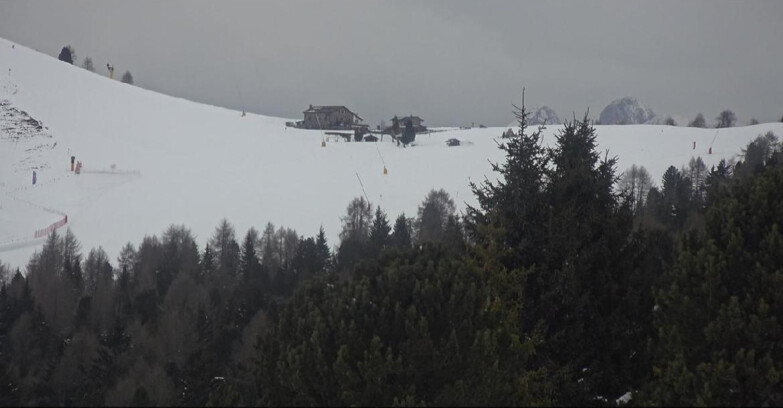 Webcam Bellamonte-Alpe Lusia  - Pista Dolomitica