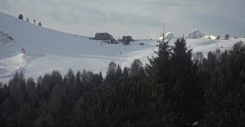 Webcam Bellamonte-Alpe Lusia  - Pista Dolomitica