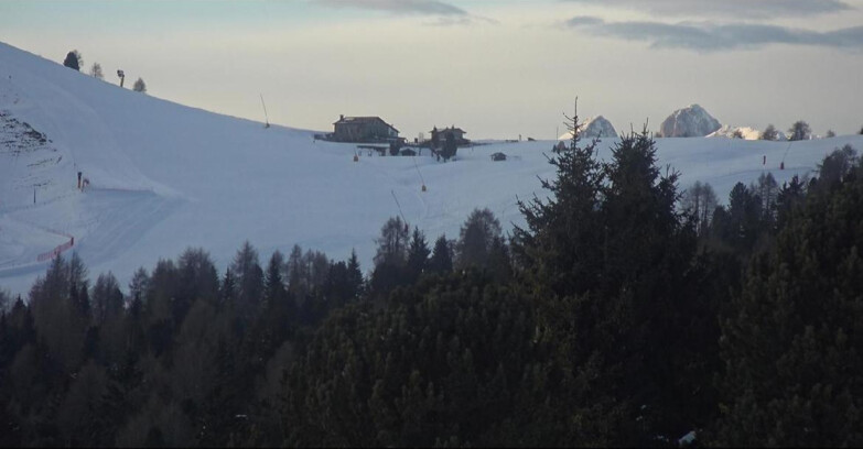 Webcam Bellamonte-Alpe Lusia  - Pista Dolomitica