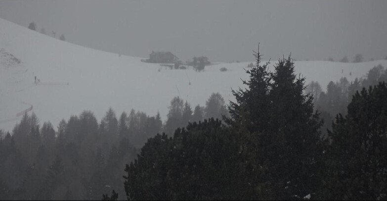 Webcam Bellamonte-Alpe Lusia  - Pista Dolomitica