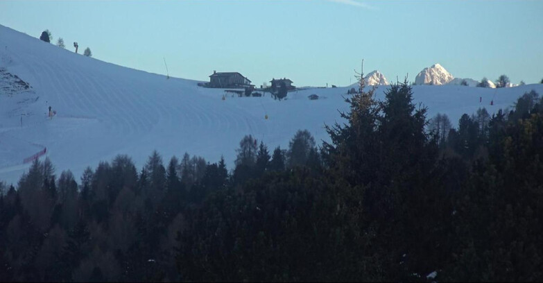 Webcam Bellamonte-Alpe Lusia  - Pista Dolomitica