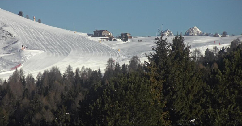 Webcam Bellamonte-Alpe Lusia  - Pista Dolomitica