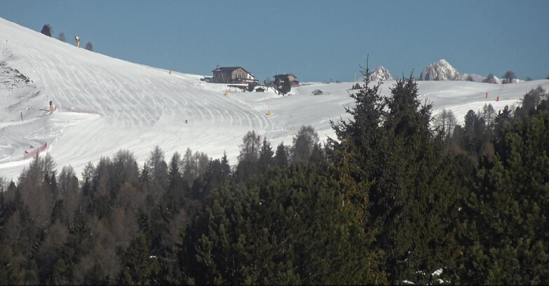 Webcam Bellamonte-Alpe Lusia  - Pista Dolomitica
