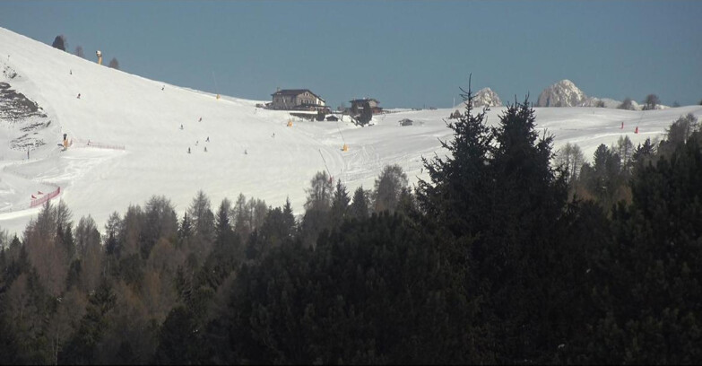 Webcam Bellamonte-Alpe Lusia  - Pista Dolomitica