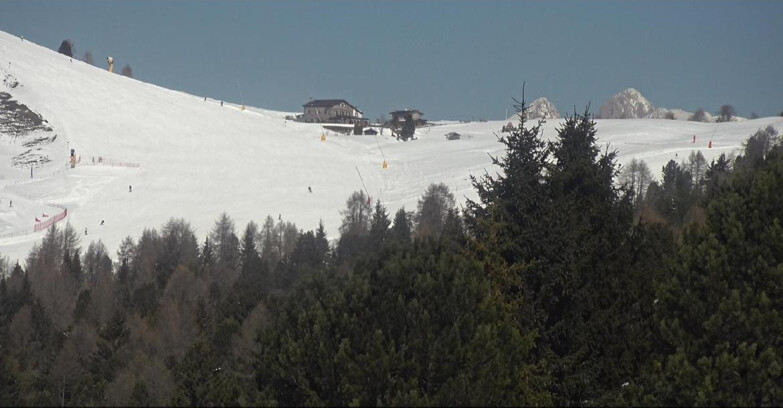 Webcam Bellamonte-Alpe Lusia  - Pista Dolomitica