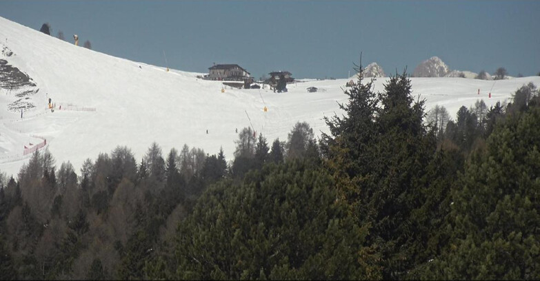 Webcam Bellamonte-Alpe Lusia  - Pista Dolomitica