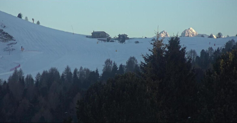 Webcam Bellamonte-Alpe Lusia  - Pista Dolomitica