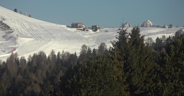 Webcam Bellamonte-Alpe Lusia  - Pista Dolomitica