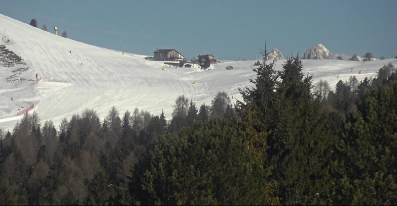Webcam Bellamonte-Alpe Lusia  - Pista Dolomitica
