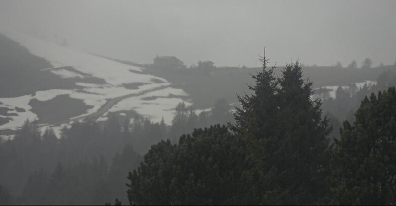 Webcam Bellamonte-Alpe Lusia - Pista Dolomitica