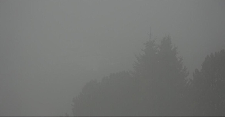 Webcam Bellamonte-Alpe Lusia - Pista Dolomitica