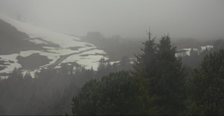 Webcam Bellamonte-Alpe Lusia - Pista Dolomitica