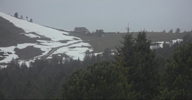 Webcam Bellamonte-Alpe Lusia - Pista Dolomitica