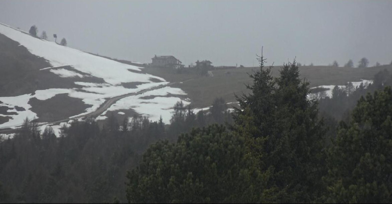 Webcam Bellamonte-Alpe Lusia - Pista Dolomitica