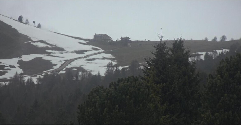 Webcam Bellamonte-Alpe Lusia - Pista Dolomitica
