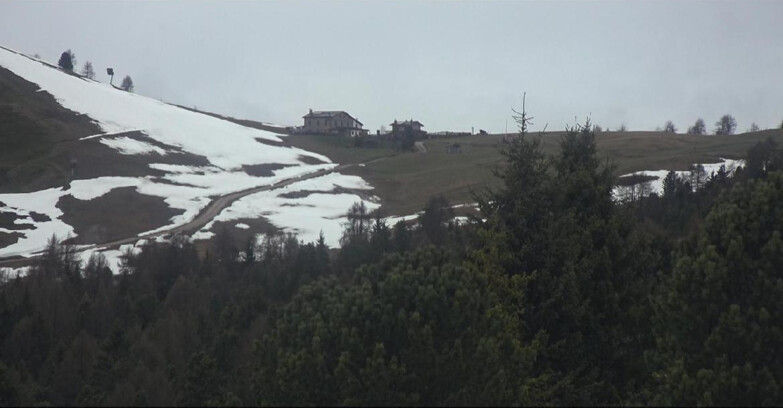 Webcam Bellamonte-Alpe Lusia - Pista Dolomitica