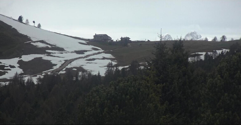 Webcam Bellamonte-Alpe Lusia - Pista Dolomitica
