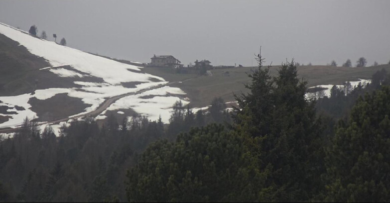 Webcam Bellamonte-Alpe Lusia - Pista Dolomitica