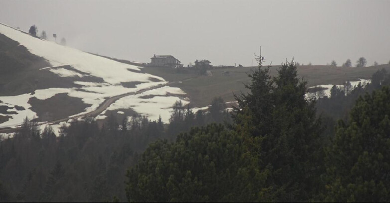 Webcam Bellamonte-Alpe Lusia - Pista Dolomitica