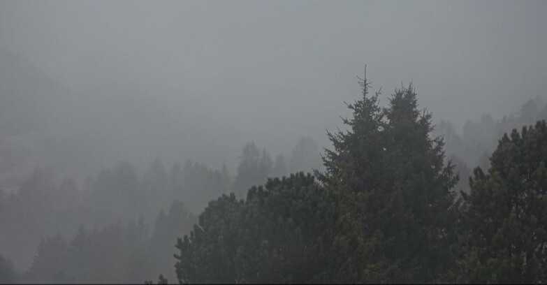 Webcam Bellamonte-Alpe Lusia - Pista Dolomitica