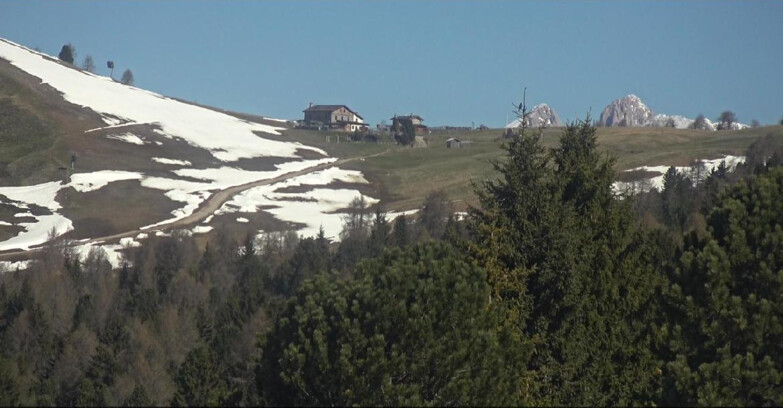 Webcam Bellamonte-Alpe Lusia  - Pista Dolomitica