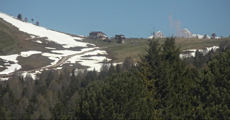 Webcam Bellamonte-Alpe Lusia  - Pista Dolomitica