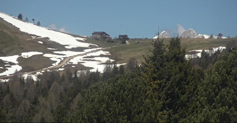 Webcam Bellamonte-Alpe Lusia  - Pista Dolomitica