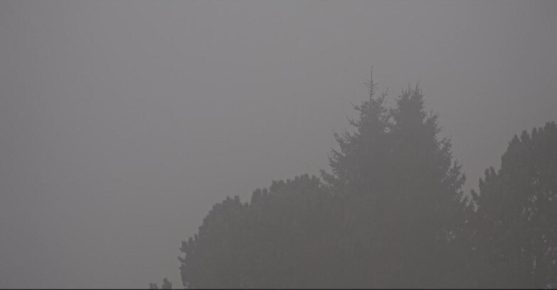 Webcam Bellamonte-Alpe Lusia  - Pista Dolomitica